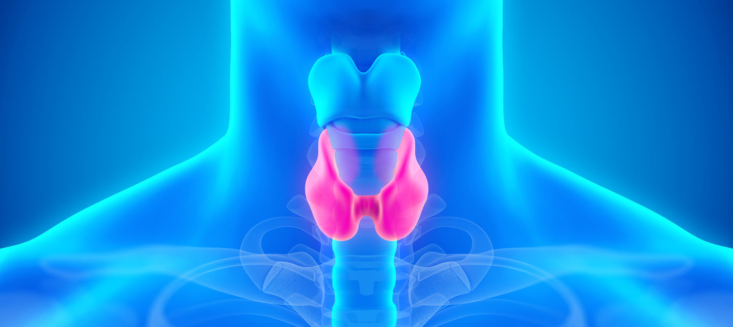 Thyroid-Care